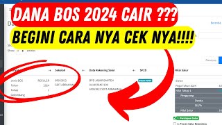 DANA BOS 2024 CAIR  TAHAP 1 [upl. by Pronty]