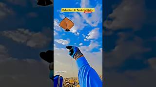 Kite Lovers Only👍😍 kite kites kiteflying patang shorts [upl. by Jobey]