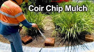 How to mulch your garden with Coir Chip  Long lasting expandable mulch [upl. by Minta442]