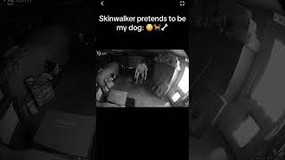 Skinwalker Pretends to be Dog [upl. by Newkirk542]