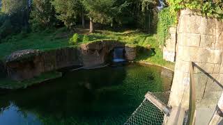 Point Defiance Zoo video 4 5k 30fps 2880p30 [upl. by Ardnot]