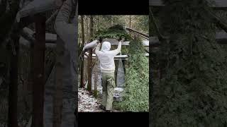 Building a Wilderness Cabin One Mans Journey to Find Peace in the Forest  by ivanbushcraft [upl. by Alenson]