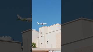 oman salamair [upl. by Glenda140]