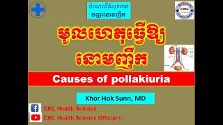 មូលហេតុធ្វើឱ្យនោមញឹកCauses of pollakiuria l CML Health Science Official [upl. by Attaynik]