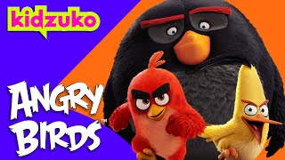 🤣 ActionPacked Silly Fun with Red and Friends 🐥  Angry Birds  Compilation  Kidzuko [upl. by Carrol]