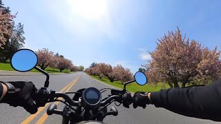 Exploring Allentown PA during spring season [upl. by Rabbi426]