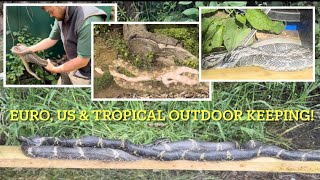 SNAKES outdoor enclosure update spring 2024 [upl. by Aicert894]