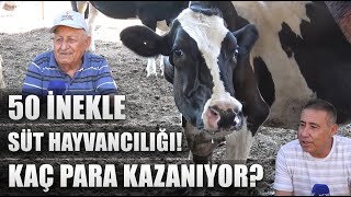 Nar Ağaçlarını Söktü 50 İnekle Süt Hayvancılığı Yapıyor Ayda Kaç Para Kazanıyor  Abi Nerdesin [upl. by Enitsenrae917]