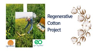 Our Regenerative Cotton Journey Update ☘️ Spring 2023 [upl. by Bennet]