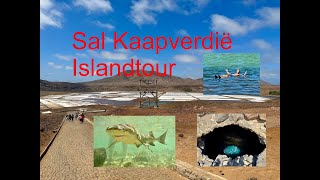 Things to do Sal cape Verd Sal Kaap Verdië Islandtour Sharkbay Salinas Blue Eye amp Natural poo [upl. by Henka]