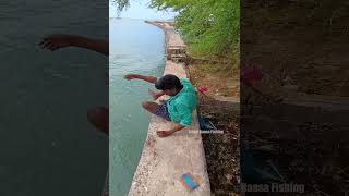 Good Size of Catfish Fishing in river Mouth [upl. by Fidelas]