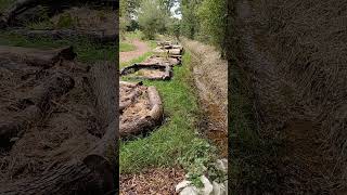 Sluice gate in action linked to clay ponds uk permaculture site permaculture nature tigwelding [upl. by Jarrod]