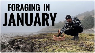 Foraging in January  UK Wildcrafts Foraging Calendar [upl. by Lashar]