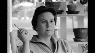 Harper Lee  Ne tirez pas sur loiseau moqueur Chap24  Georges Z Vernat [upl. by Odlanor763]