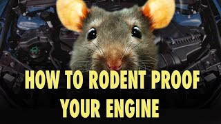 How to Rodent Proof Your Engine  The Easy Way [upl. by Ymac236]