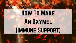 How To Make An Oxymel Immune Support [upl. by Hite504]