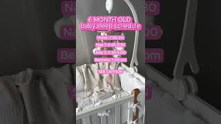 6 month old Baby sleep schedule👇Let’s break it down👇 babysleep babysleeptips babysleeproutine [upl. by Eliza]