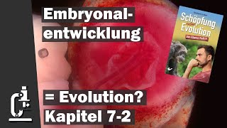 Evolution in der Embryonalentwicklung Schöpfung oder Evolution 72 [upl. by Vernier]