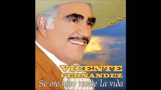 Vicente Fernandez  Miseria [upl. by Llenram694]