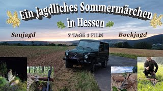 Ein jagdliches Sommermärchen in Hessen  7 JAGDTAGE 1 FILM [upl. by Sirah]