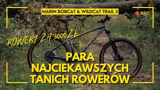 Marin Wildcat 3 vs Bobcat 3 [upl. by Atsylak]