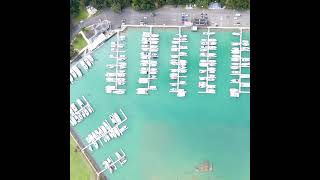 Tutukaka Marina Live Stream [upl. by Anerom]