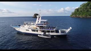 Diving in Costa Rica Aboard the Okeanos Aggressor I and II [upl. by Aicital]