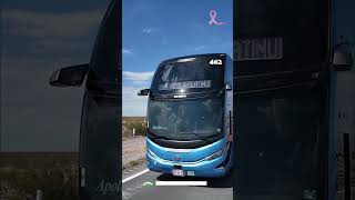 autobus Apoloplatinum virals Cdmx monterrey viralpost shortvideo shorts short shortsvideo [upl. by Atiniuq]