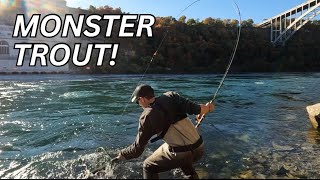 Shore Fishing for GIANT TROUT NIAGARA RIVER [upl. by Otecina]