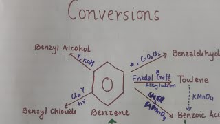 ConversionsClass 11 Chemistry Hydrocarbon Benzene Interconversions [upl. by Hammel]