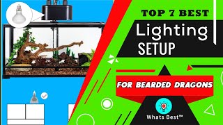 7 Best Lighting Setup For Bearded Dragons 2022  Best Blub with Pro amp Cons  Whats Best [upl. by Anissa901]