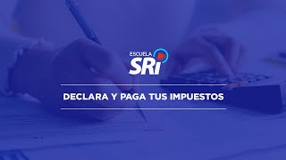 Video 5  DECLARA Y PAGA TUS IMPUESTOS [upl. by Nagol809]