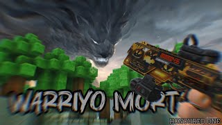 KUBOOM FRAGMOVIE 🔥  TOP 5 GUNS OF KUBOOM  KUBOOM MONTAGE  WARRIYO MORTALS  KUBOOM 3D 09 [upl. by Ayna358]