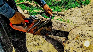 Chainsaw Challenge Cutting Trees in Extreme High TEMPERATURE 45 C°  Zar Auto [upl. by Gnouhp]