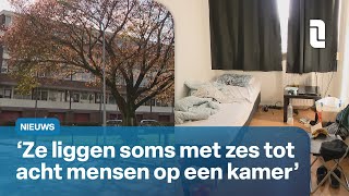 Meer excessen bij huisvesting van arbeidsmigranten  L1 Nieuws [upl. by Kutzer]