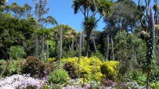 Isles of Scilly Landscape and Nature [upl. by Brindle86]