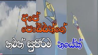 කොහොමද පොඩ්ඩන්ගේ නයා Sarungal hadana hati sinhala  How To Make kite design  kite in srilanka [upl. by Dag]