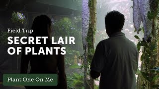 Gardens by the Bay Cloud Forest Dome Tour — 5 of 5 — Ep 102 [upl. by Einallem]