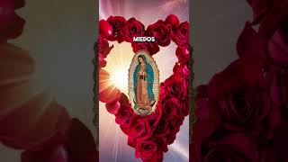 iniciando Noviembre oración milagrosa a la Virgen de Guadalupe [upl. by Ellehcit]