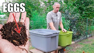 How to Make a Worm Composting Bin Quick Simple and Inexpensive Gardening [upl. by Niu]