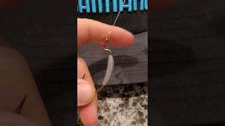 How to tie the Canoe Man Loop Knot fishing fishingknot howto howto [upl. by Anwadal417]