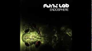 The Funk Lab  Endosphere [upl. by Bumgardner265]