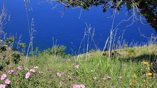 Naturpark Lo Zingaro  an einer der schönsten Küsten von Sizilien [upl. by Lizzy]