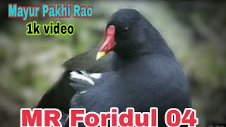 Mayur Pakhi Rao video MR Foridul 04 [upl. by Attenor]