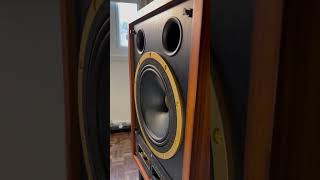 Tannoy SGM10 Speakers playing Odyssay [upl. by Swann]