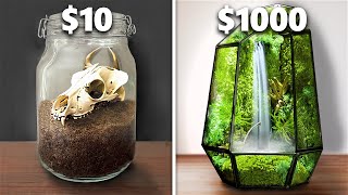 10 vs 1000 Terrarium Ecosystem [upl. by Ldnek]