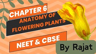 Anatomy of flowering plants class 11 Oneshot with Rajat [upl. by Yelyak637]