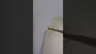 Painting water drops 💧shorts shortvideo youtubeshorts viralvideo painting water drops [upl. by Saticilef696]