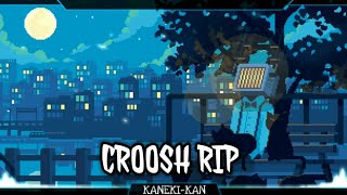 croosh ripaudio مترجم [upl. by Llehsad]