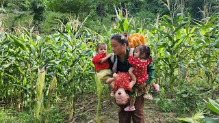 Giang thi ty 1 working day mother and child go to break corn to dry  single mother [upl. by Aryad]